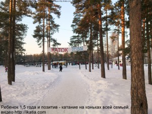 сосновый бор